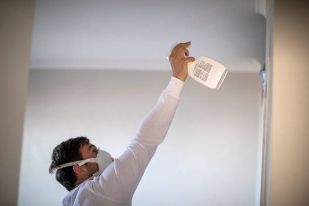 Best Local Mold Removal Service  in Sonora, CA