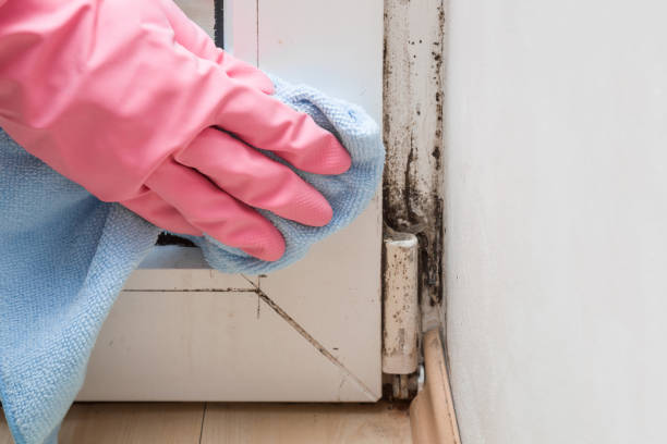 Best Crawl Space Mold Removal  in Sonora, CA