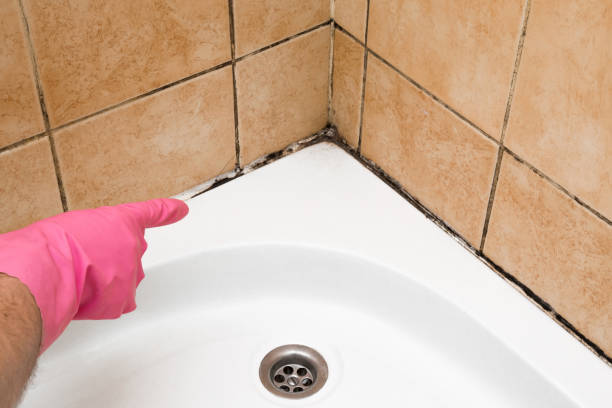 Best Commercial Mold Removal  in Sonora, CA